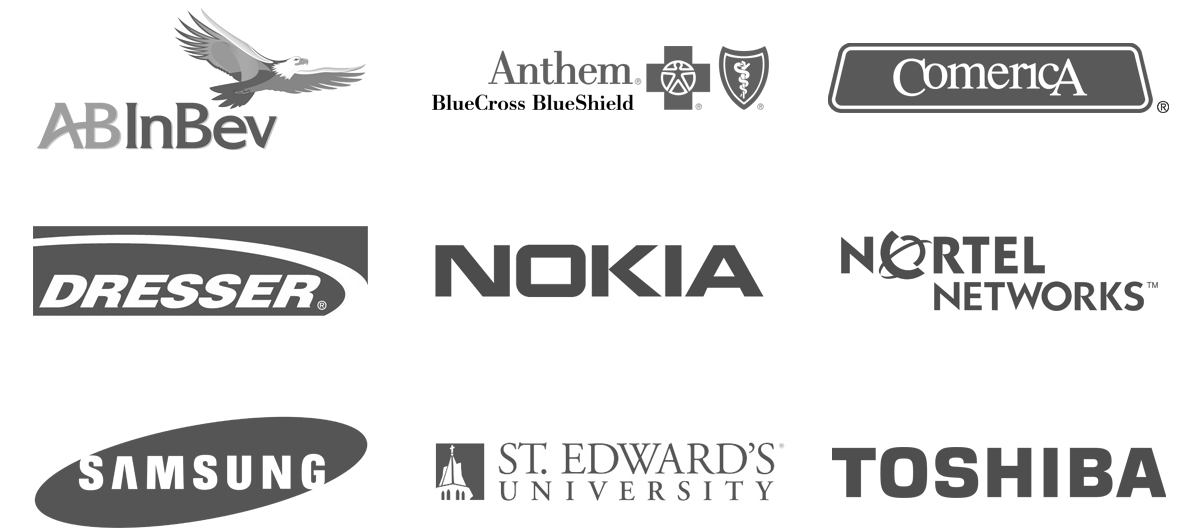 Lithic Data Client Logos: AB/InBev, Anthem, Comerica, Dresser, Nokia, Nortel Networks, Samsung, St. Edward's University, Toshiba